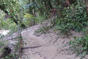  &copy;&nbsp;Фото министерства природных ресурсов и экологии РФ