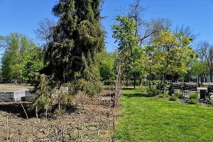  © Фото Карины Сардарян, пресс-служба администрации Краснодара