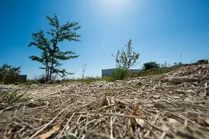 Огороженная территория &copy;&nbsp;Фото Елены Синеок, Юга.ру