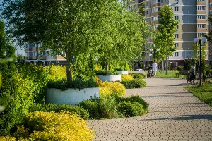  &copy;&nbsp;Фото Александра Шестакова, предоставлено пресс-службой СК &laquo;Семья&raquo;