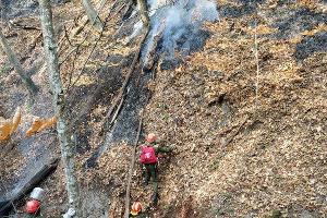  © Фото Алексея Щербины для Юга.ру