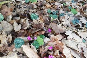  © Фото Максима Богатырева