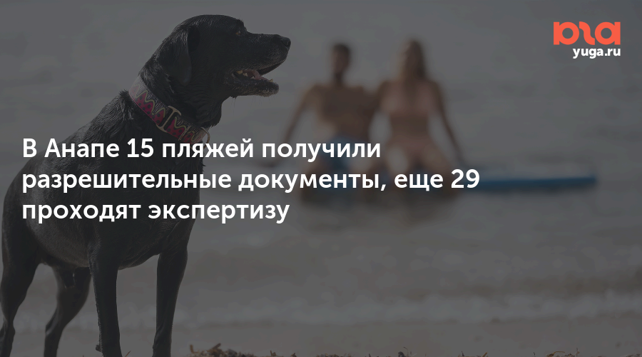 В Анапе 15 пляжей получили разрешительные документы, еще 29 проходят экспертизу