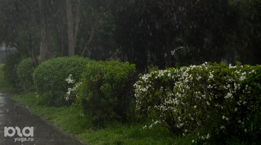  &copy;&nbsp;Фото Елены Синеок, Юга.ру