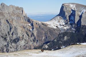  © Фото пресс-службы Кавказского заповедника