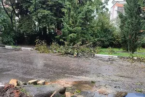  &copy;&nbsp;Фото из телеграм-канала &laquo;Любимый Сочи&raquo;, t.me/love_sochi