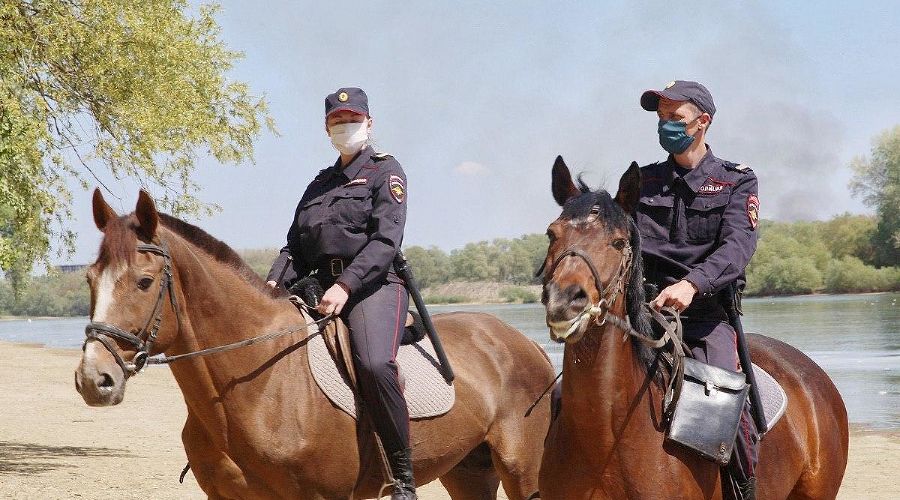  © Фото пресс-службы мэрии Краснодара