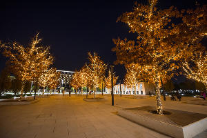 Парк «Краснодар»  с новогодней подсветкой &copy;&nbsp;Фото Елены Синеок, Юга.ру