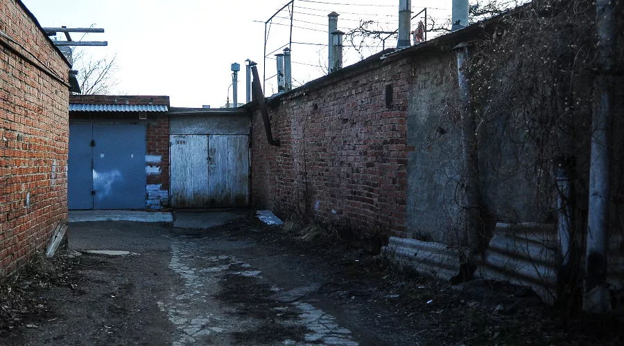  &copy;&nbsp;Фото Елены Синеок, Юга.ру