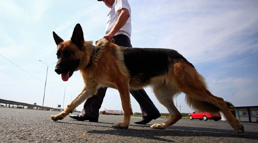  © Фото Влада Александрова, Юга.ру