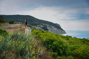  &copy;&nbsp;Фото Елены Синеок, Юга.ру