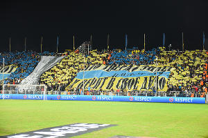  © Фото Елены Синеок, Юга.ру