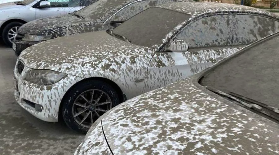  &copy;&nbsp;Пресс-служба УМВД России по городу Краснодару