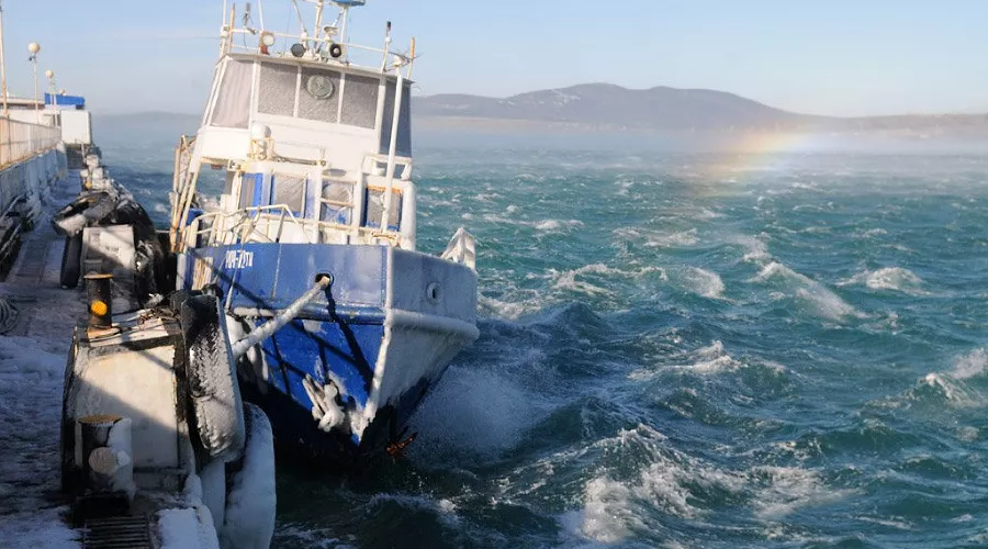  &copy;&nbsp;Фото Елены Синеок, Юга.ру