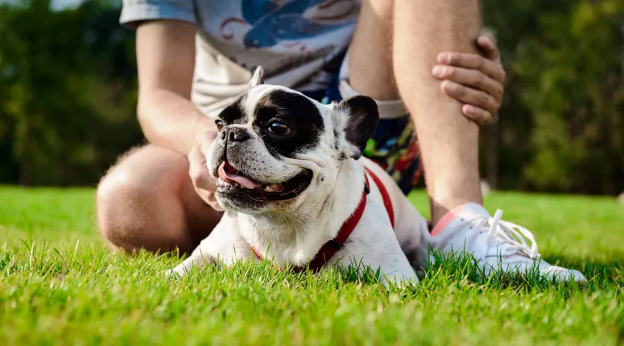  &copy;&nbsp;Фото пользователя cookie_studio с сайта freepik.com