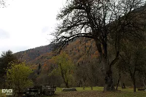 Установка "солонцов" в Кавказском заповеднике &copy;&nbsp;Ирина Лукьяшко. ЮГА.ру