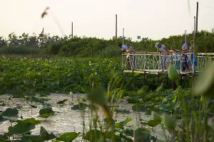 Озеро лотосов рядом с Белозерным &copy;&nbsp;Фото Евгения Маханько
