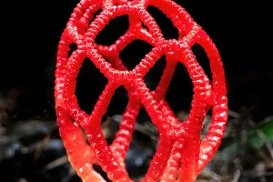  &copy;&nbsp;Фото пользователя David Clode сайта Unsplash.com