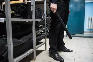  &copy;&nbsp;Фото Елены Синеок, Юга.ру