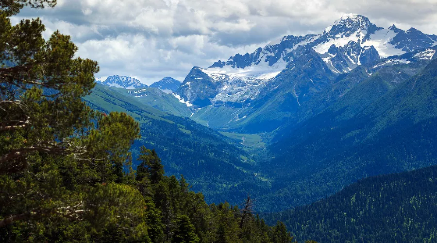  &copy;&nbsp;Фото Алексея Полуянова