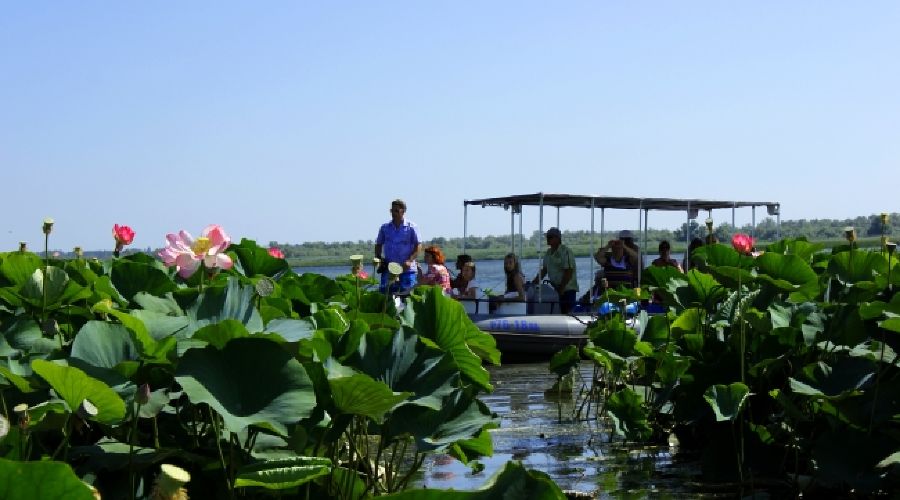  © Фото пресс-службы Южного СУТ России