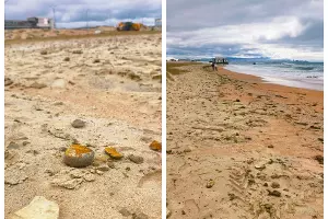  &copy;&nbsp;Скриншот из телеграм-канала &laquo;Маковозовы&raquo; https://t.me/makovozovy/57176