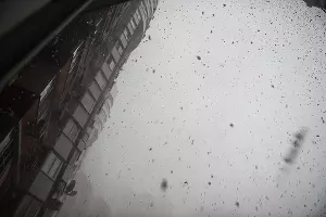  &copy;&nbsp;Фото Елены Синеок, Юга.ру