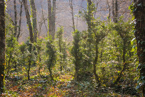  © Фото пресс-службы главы Республики Адыгея