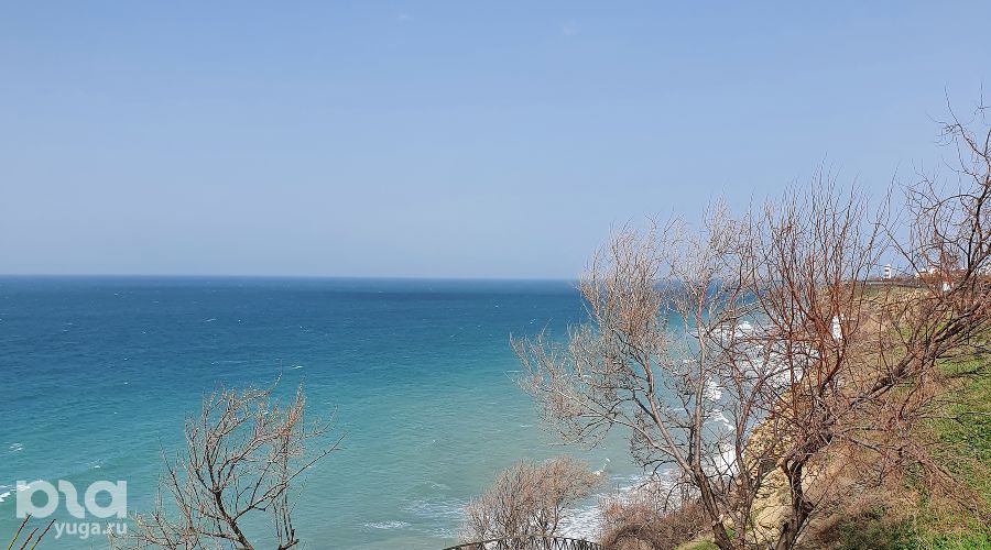  © Фото Марины Солошко, Юга.ру