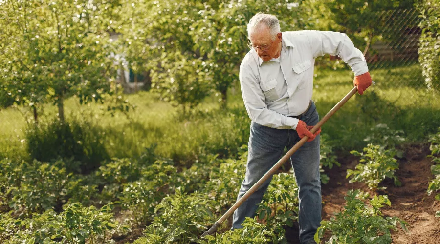  &copy;&nbsp;Фото Prostooleh, ru.freepik.com