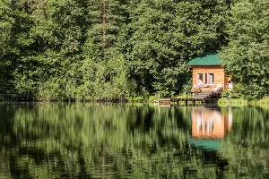  &copy;&nbsp;Изображение пользователя Alyona Bogomolova с unsplash.com