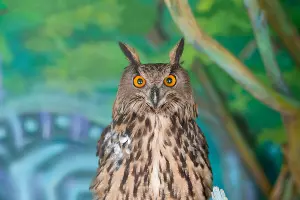 Обитатели совариума в &laquo;Сочи Парке&raquo; &copy;&nbsp;Фото пресс-службы &laquo;Сочи Парка&raquo;