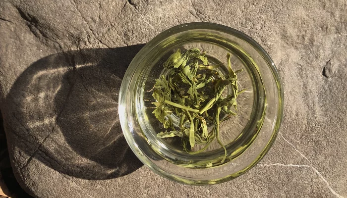  &copy;&nbsp;Фото Андрея Севоплясова