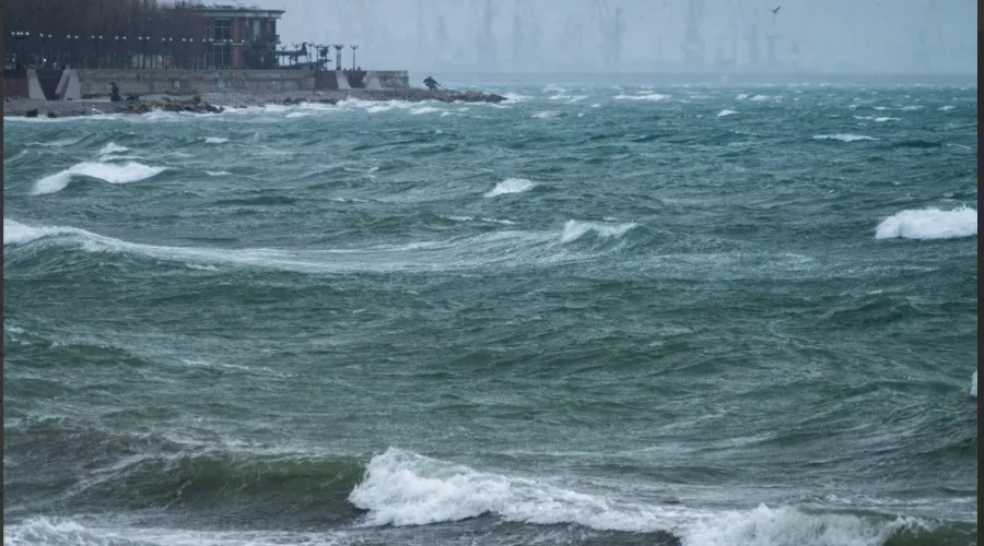  &copy;&nbsp;Скриншот из телеграм-канала Tateshi️️ https://t.me/sakanoid/1436