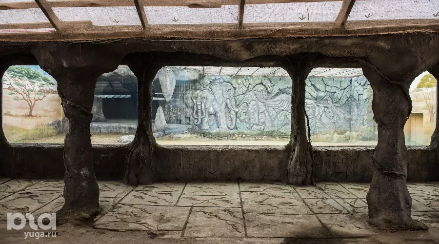  &copy;&nbsp;Фото Елены Синеок, Юга.ру