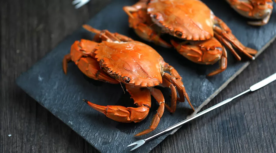  &copy;&nbsp;Фото пользователя xb100 с сайта freepik.com