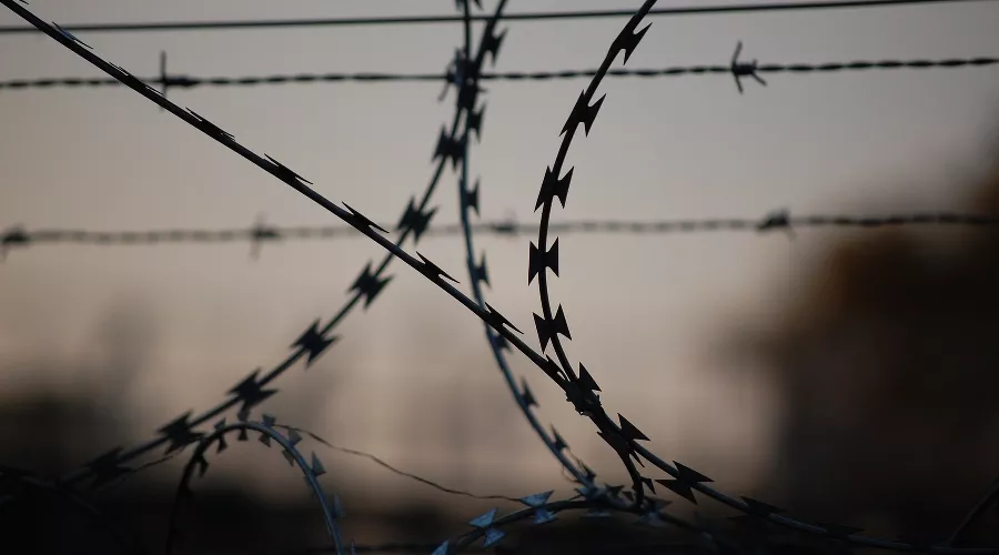  &copy;&nbsp;Фото с сайта pixabay.com