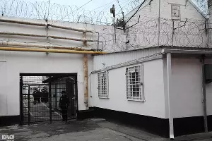  &copy;&nbsp;Фото Елены Синеок, Юга.ру