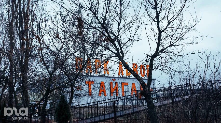 Парк львов "Тайган" в Крыму  &copy;&nbsp;Денис Яковлев, ЮГА.ру