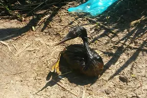  &copy;&nbsp;Фото из группы &laquo;Краснодарский край&raquo; &laquo;ВКонтакте&raquo;, vk.com/krdregion