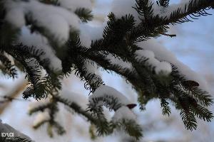 Зима в Краснодаре &copy;&nbsp;Елена Синеок. ЮГА.ру