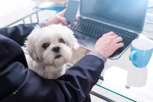  &copy;&nbsp;Фото пресс-службы Tele2