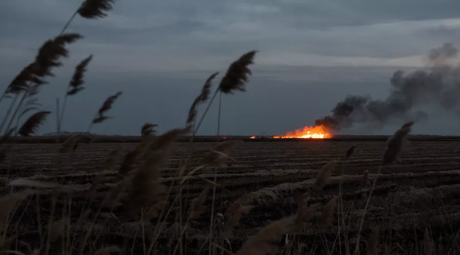  &copy;&nbsp;Фото Елены Синеок, Юга.ру