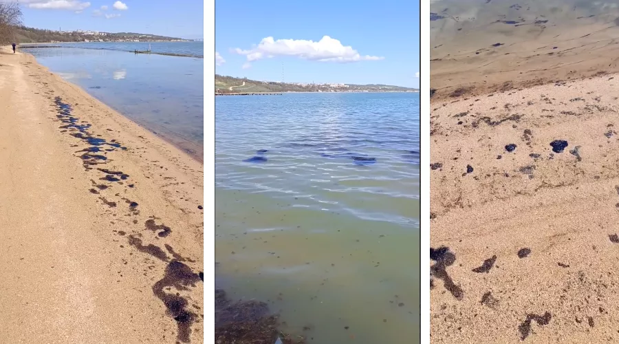  &copy;&nbsp;Коллаж из скриншотов видео из телеграм-канала &laquo;Эколог Жора Каваносян&raquo;