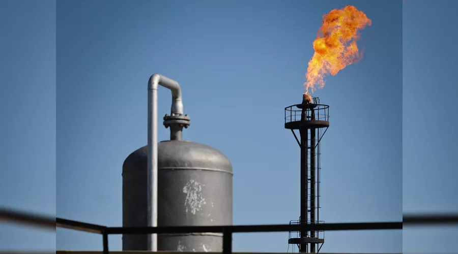  &copy;&nbsp;Фото Елены Синеок, Юга.ру