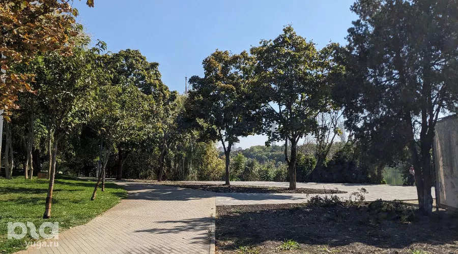  &copy;&nbsp;Фото Александры Прохоренковой-Аксеновой, Юга.ру