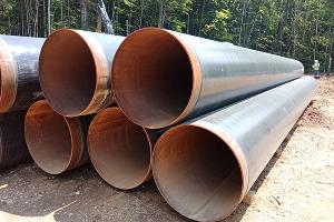  © Фото Елены Малышевой, Юга.ру