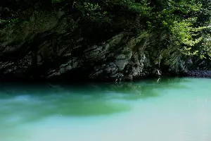 Тисо-самшитовая роща Сочи &copy;&nbsp;Фото Марины Солошко, Юга.ру