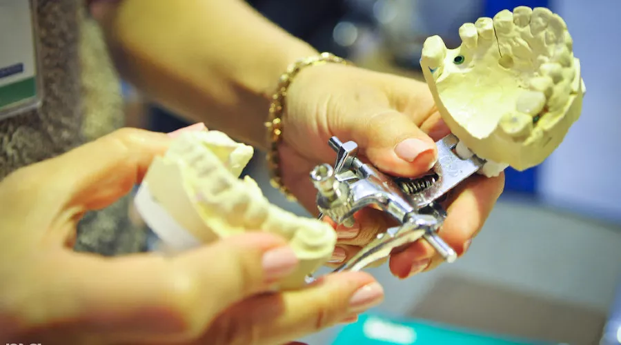  &copy;&nbsp;Елена Синеок, ЮГА.ру