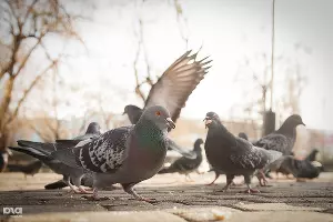  &copy;&nbsp;Фото Алены Живцовой, Юга.ру
